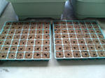 20100509130017-edited.jpg