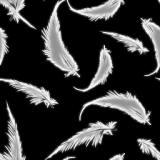 s-feather2.jpg