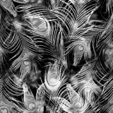 s-feather3.jpg