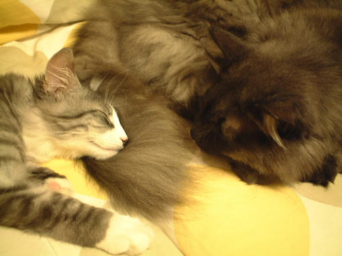 DSCF1716.JPG