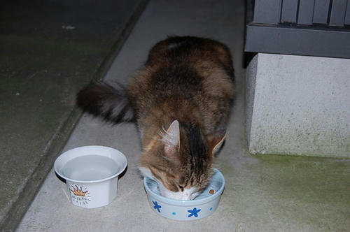DSC_1628.jpg