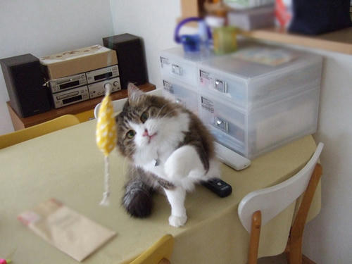 DSCF1079.JPG