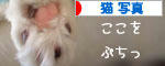 にほんブログ村 猫ブログ 猫 写真へ