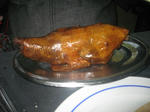 hato.JPG