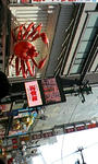 100503_104310.JPG