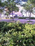 Image062.jpg