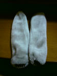20100321202021.jpg