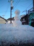 20110117085508.jpg