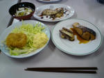 20110219121946.jpg