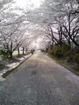 20110411163342.jpg