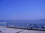 s-P1050262.jpg