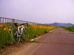 s-P1000102.jpg