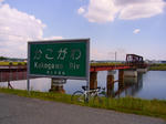 s-P1000173.jpg