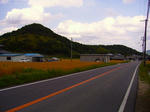 s-P1000199.jpg