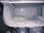 s-P1000387.jpg