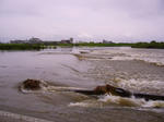 s-P1000467.jpg