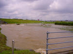 s-P1000525.jpg