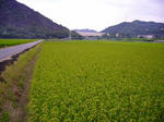 s-P1000561.jpg