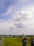 s-P1000604.jpg