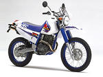 TT250R_Raid.jpg