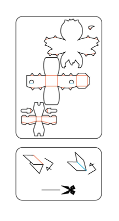 2423e570.jpeg