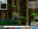 Maple_100605_005.png