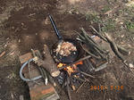 RIMG0772.JPG