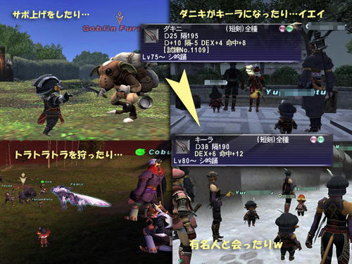 2010-8iroiro.jpg