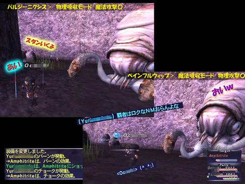 kai-1.jpg
