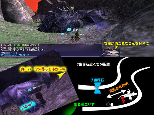 tuno-3.jpg