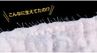mochitama_p07.jpg