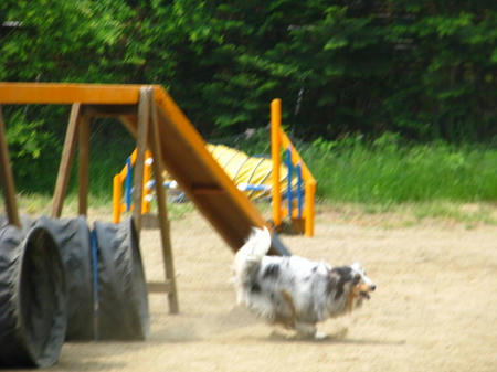100613ruke5.jpg
