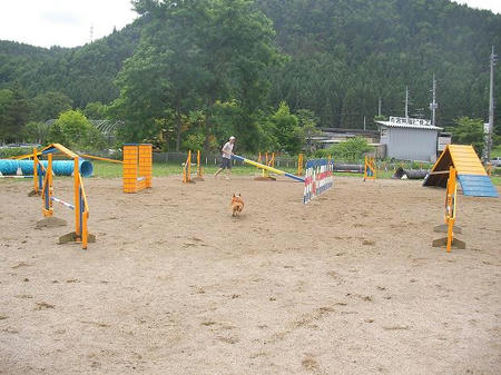 100627-g2.JPG