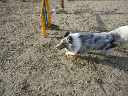 IMG_1526.JPG