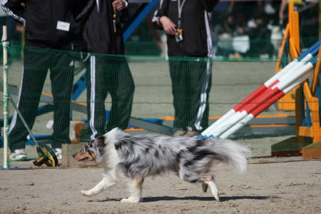 355992_817189737_63large.jpg