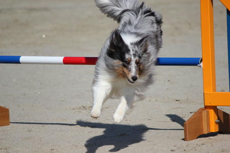 355992_817220629_74large.jpg