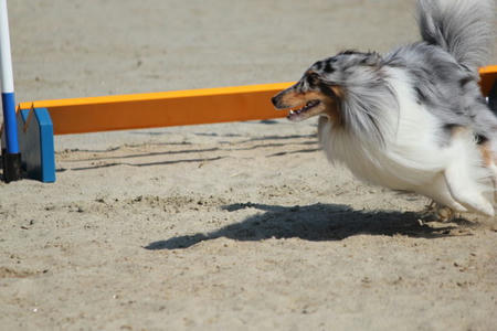 355992_817220636_46large.jpg