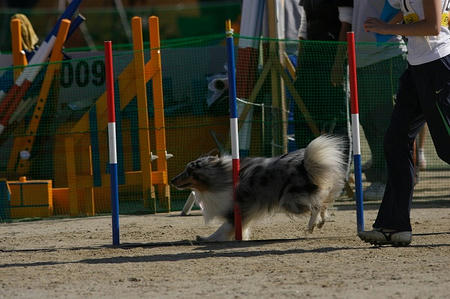 101024reo.jpg