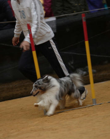 17275118_880899011_116large.jpg