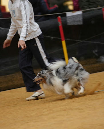 17275118_880899010_17large.jpg