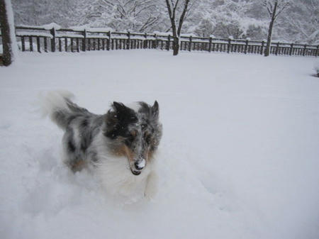 600083_917157028_211large.jpg
