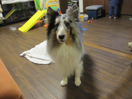 IMG_1893.JPG