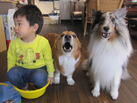 110115shugou.jpg