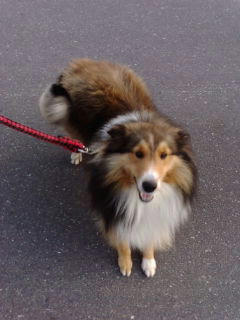 20110320135855a9f.jpg