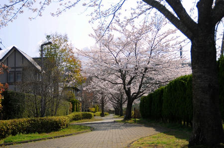 110421-4.jpg