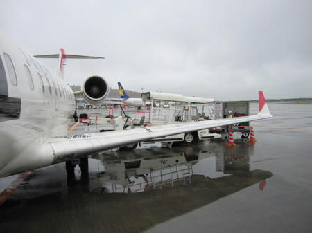 d8f34529.jpg