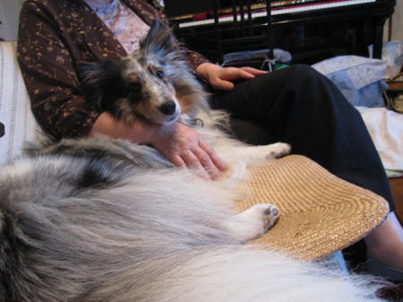 IMG_2779.JPG