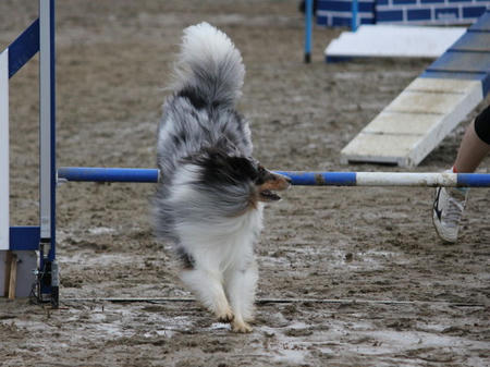 355992_1379214604_147large.jpg