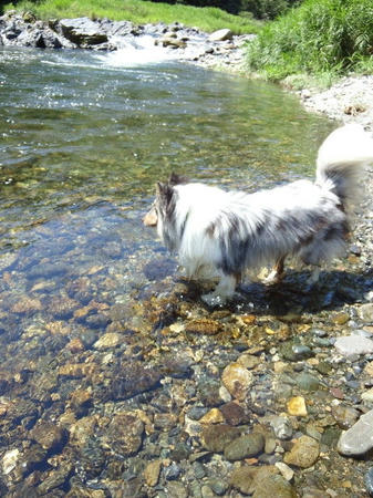 600083_1746349017_93large.jpg