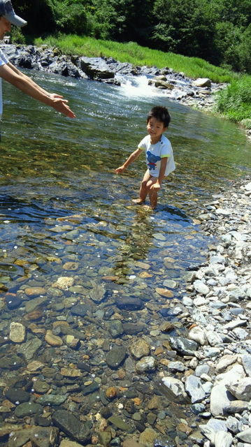 600083_1746350521_161large.jpg